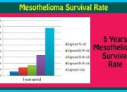 What Is The Survival Rate For Mesothelioma