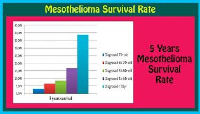 What Is The Survival Rate For Mesothelioma