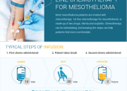 Mesothelioma Cancer What To Expect
