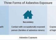 Who Is At Risk For Mesothelioma