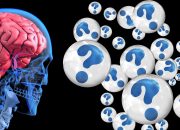 Does Mesothelioma Affect The Brain