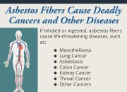 Prevent Mesothelioma After Asbestos Exposure