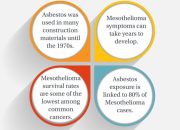 Asbestos Cancer Mesothelioma Life Expectancy