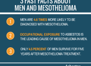 Who Is Most Likely To Get Mesothelioma