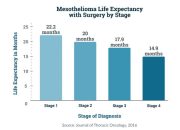 What Is The Life Expectancy Of A Person Diagnosed With Mesothelioma